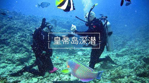 逃离野丛之森