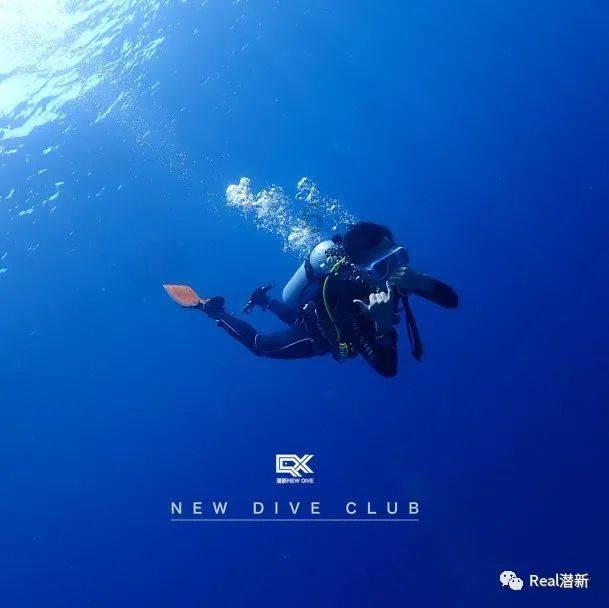 逃离森林湖畔
