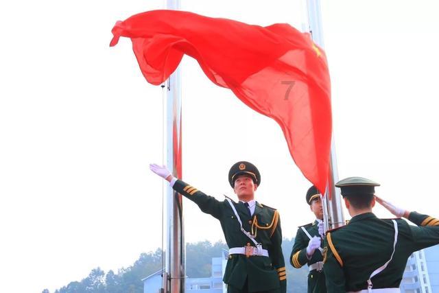 虫虫助手下载